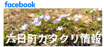 六日町カタクリ情報-facebook
